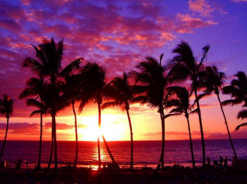 Hawaii Sunset