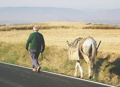 Man and Donkey