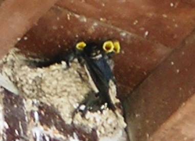 San Domingo de Silos